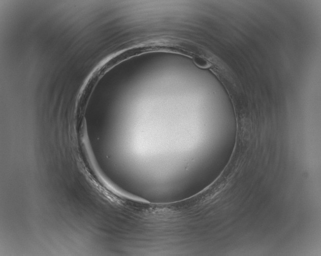 X0000054360784200508121513