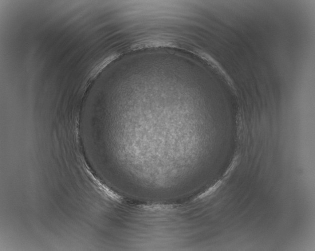 X0000054360785200508121513