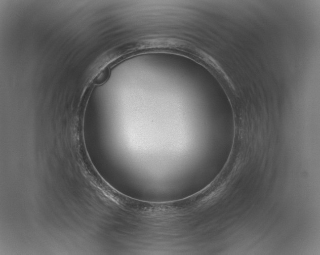 X0000054360786200508121513
