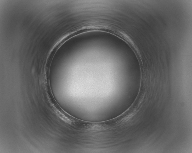 X0000054360787200508121513