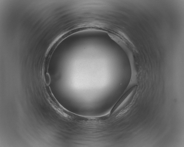 X0000054360788200508121513