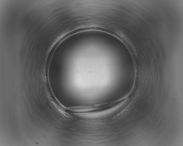 X0000054360789200508121513