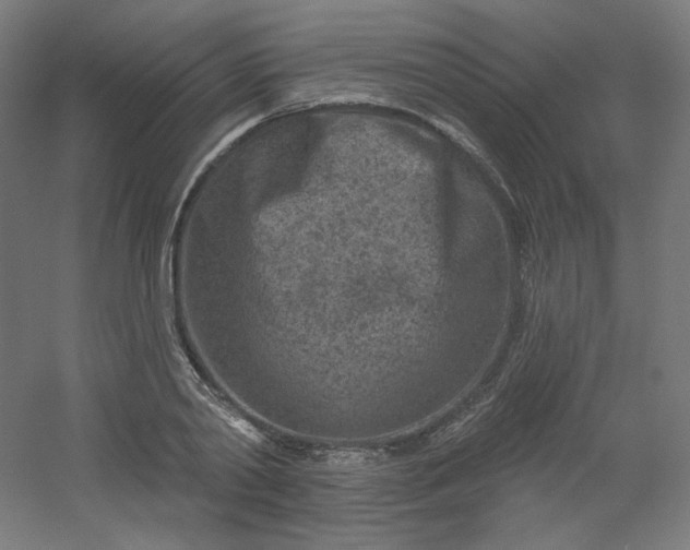 X0000054360790200508121513