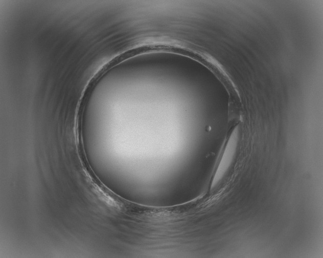 X0000054360791200508121513