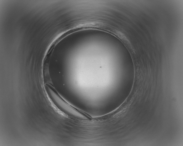 X0000054360792200508121513