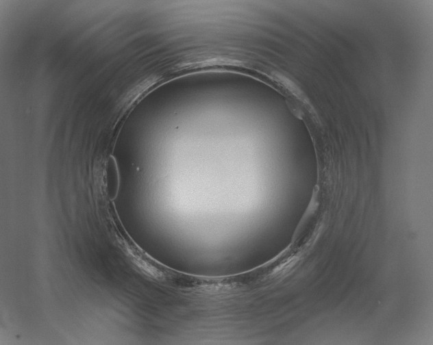 X0000054360793200508121513