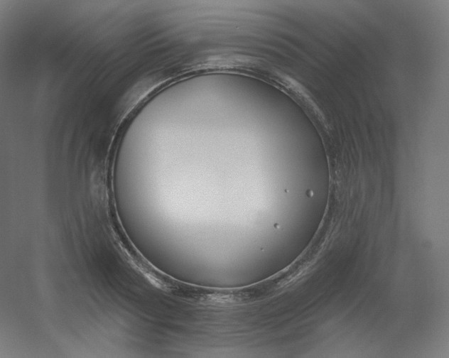 X0000054360794200508121513