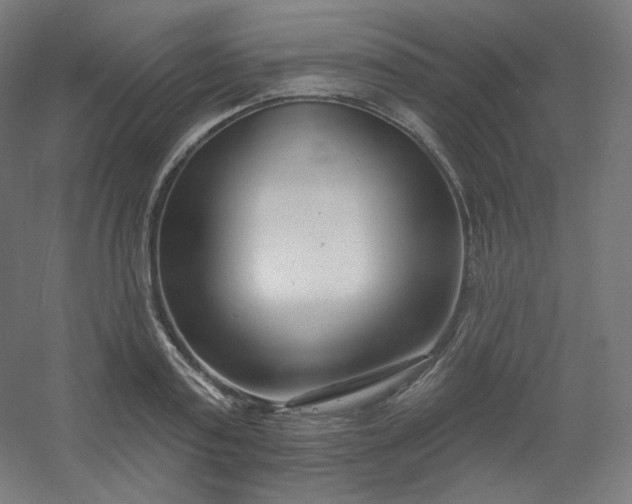 X0000054360795200508121513