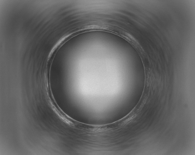 X0000054360796200508121513