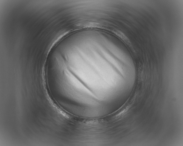 X0000054360798200508121512
