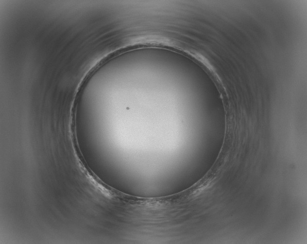 X0000054360799200508121512
