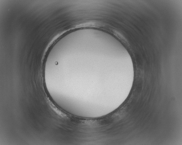 X0000054360800200508121512