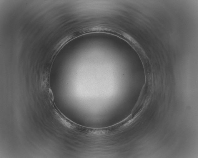 X0000054360801200508121512