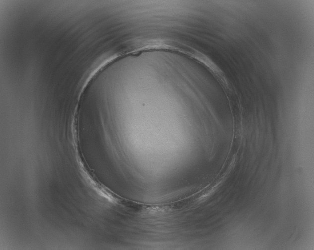 X0000054360806200508121512