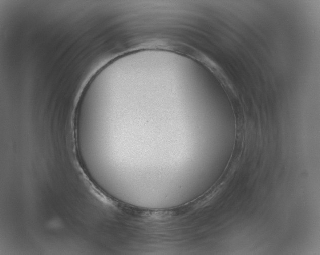 X0000054360808200508121512