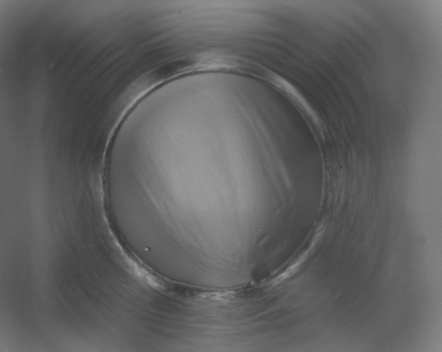 X0000054360810200508121512