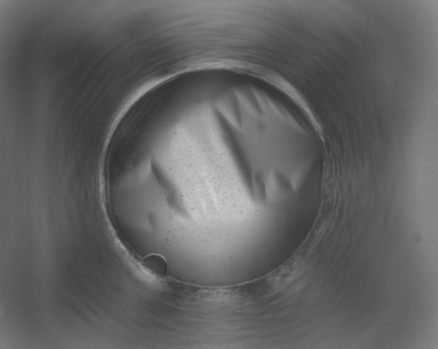 X0000054360811200508121512