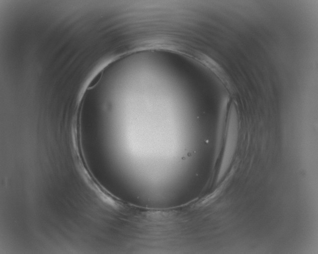 X0000054360812200508121512