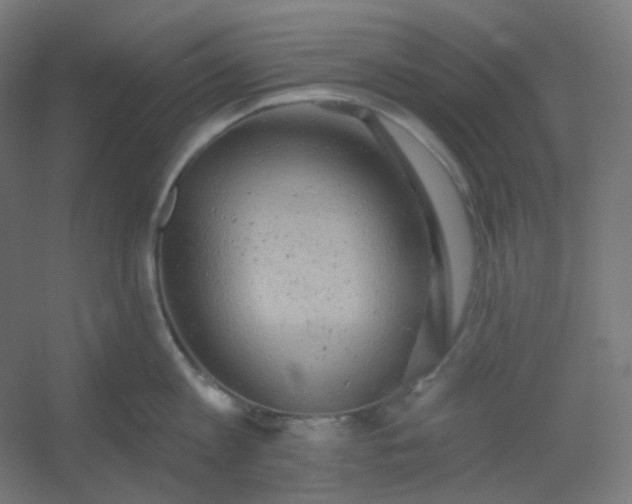 X0000054360813200508121512
