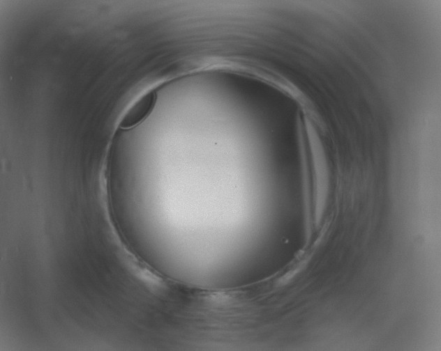 X0000054360814200508121512