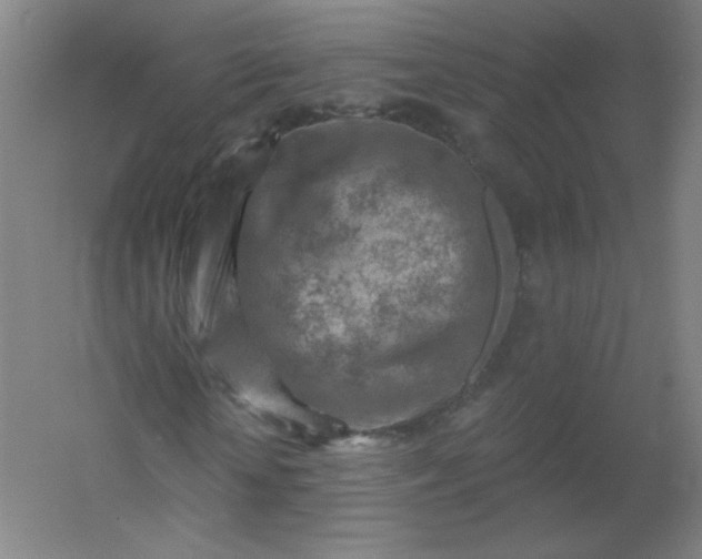X0000054360818200508121511