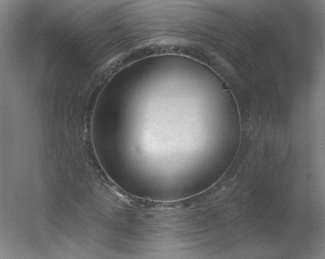 X0000054360821200508121511