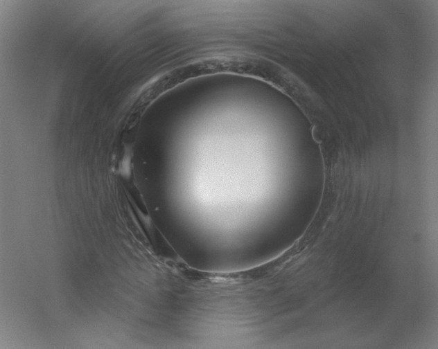X0000054360822200508121511