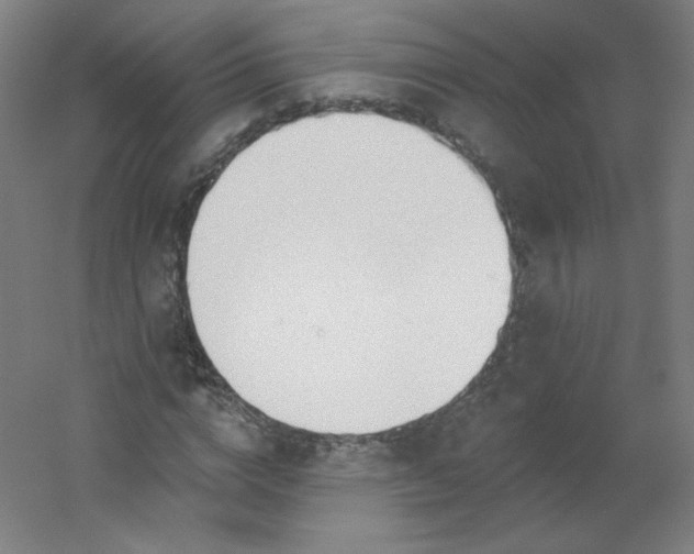 X0000054360824200508121511
