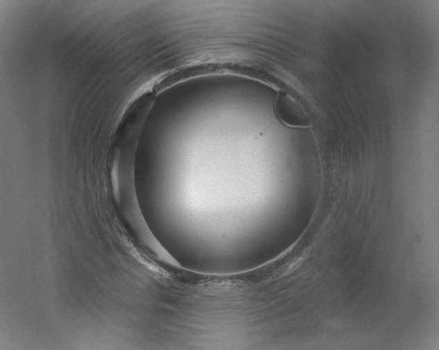 X0000054360826200508121512