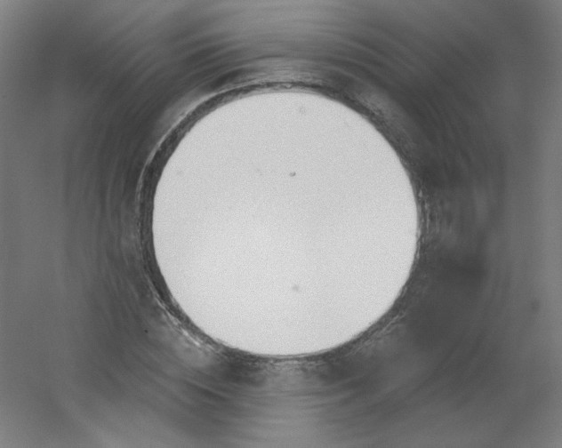 X0000054360828200508121512