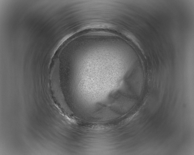 X0000054360829200508121512