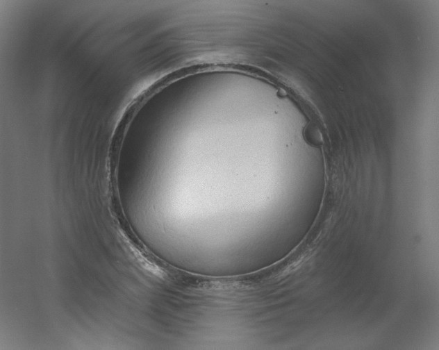 X0000054360831200508121512