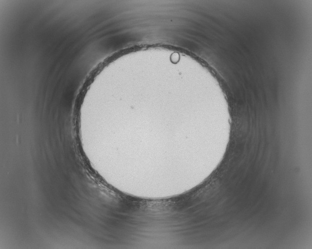 X0000054360832200508121512