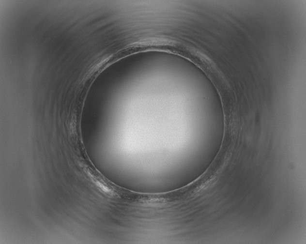 X0000054360833200508121512