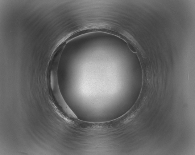 X0000054360834200508121512