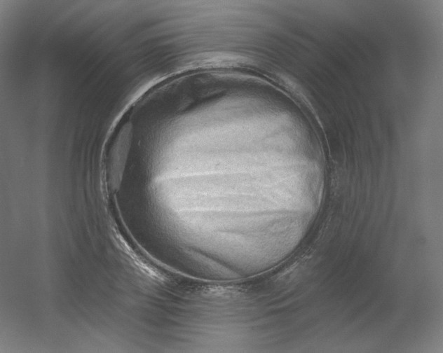 X0000054360835200508121512