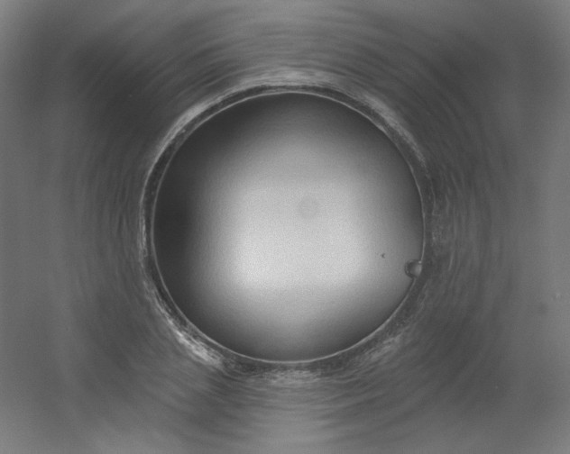 X0000054360837200508121512