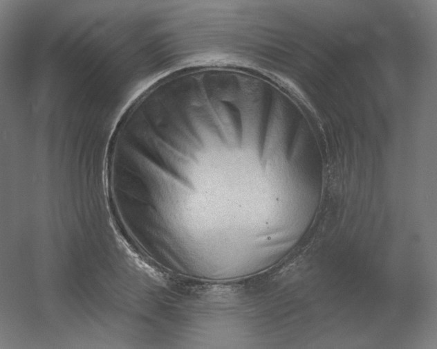 X0000054360839200508121512