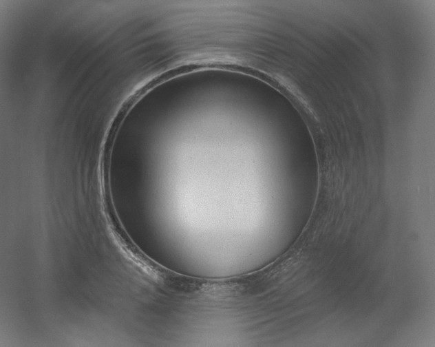 X0000054360840200508121512