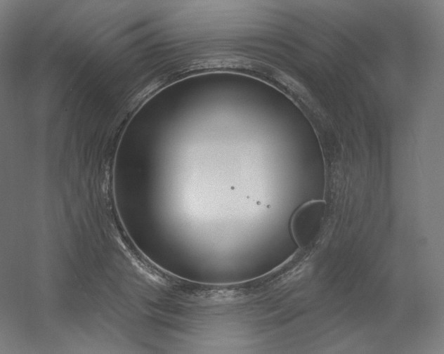 X0000054360841200508121512