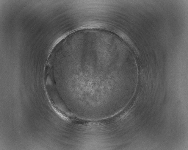 X0000054360842200508121512
