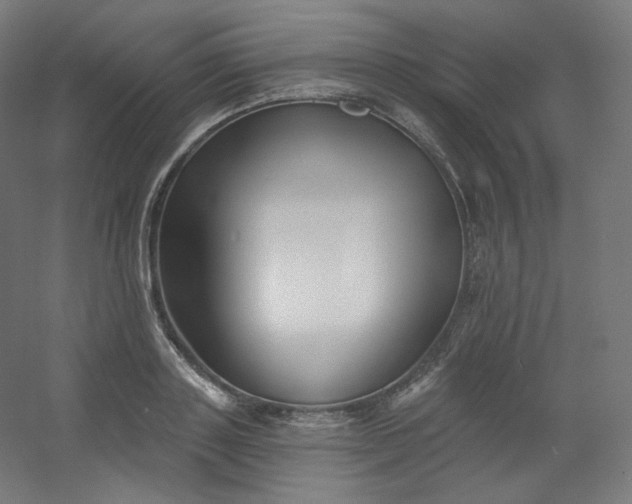 X0000054360843200508121512