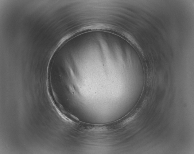 X0000054360845200508121512