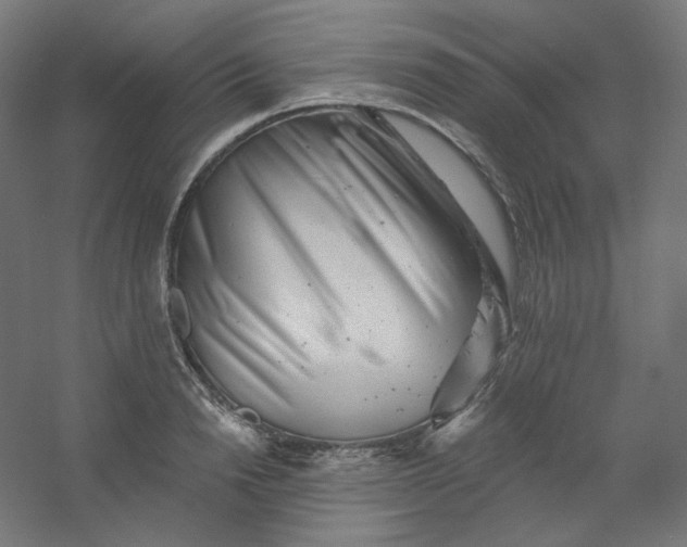 X0000054360846200508121512