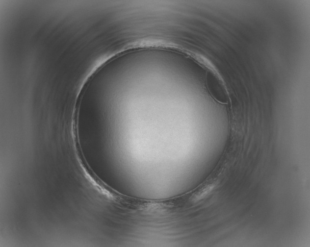 X0000054360847200508121512