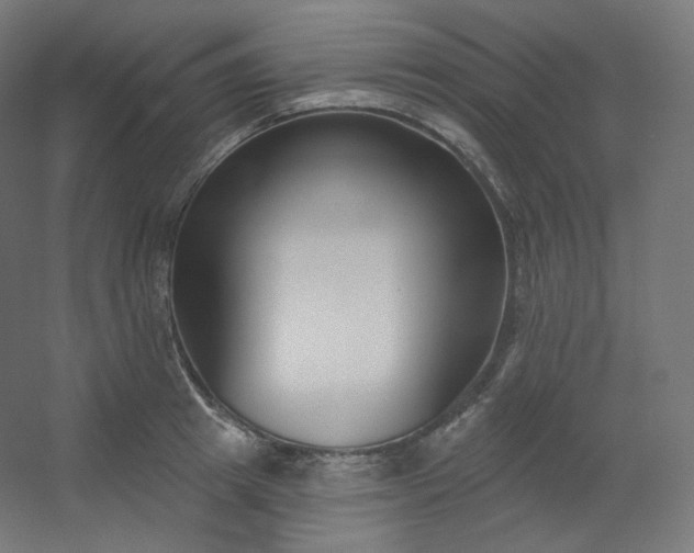 X0000054360849200508121512