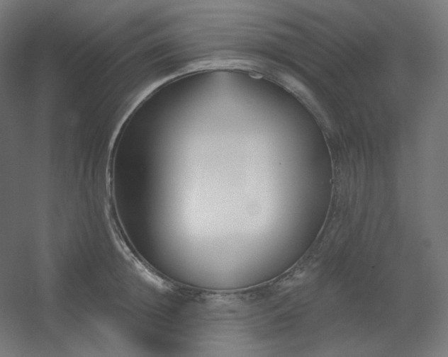 X0000054360852200508121512