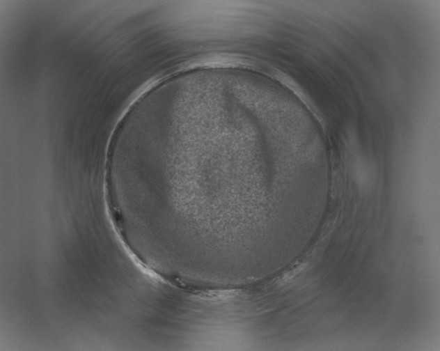 X0000054360853200508121512