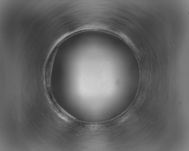 X0000054360854200508121512