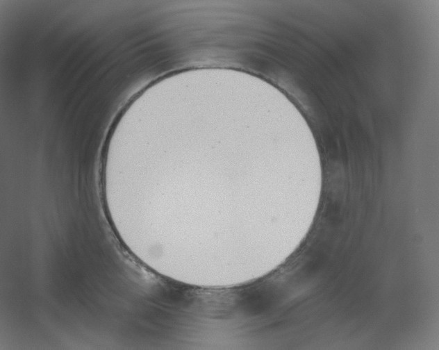 X0000054360856200508121512